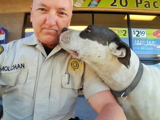 Deputy goes above and beyond to rescue lost dog
