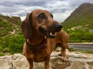 national spoil your day tucson arizona news and weather kgun tv kgun9 national spoil your day tucson arizona news and weather kgun tv kgun9