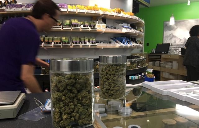 Leave marijuana to the states Leave marijuana to the states