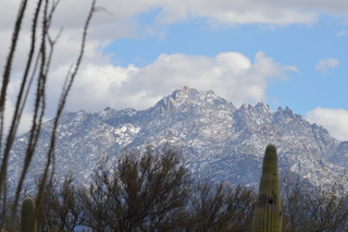 GALLERY: Snow in the southern Arizona desert