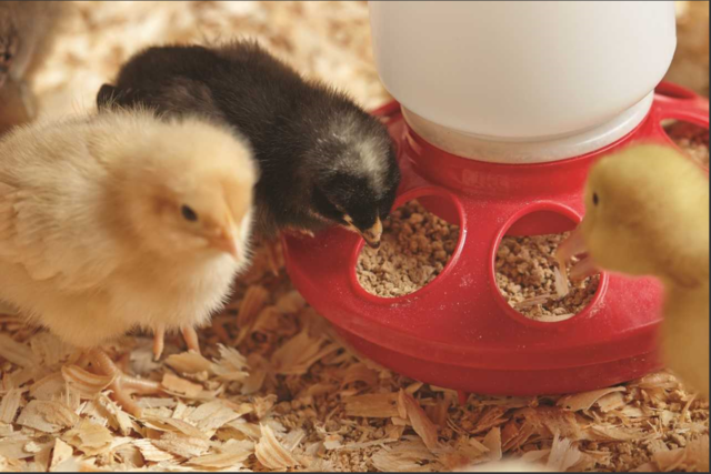 Tractor Supply (NASDAQ:TSCO) Stock Rating Lowered by BidaskClub