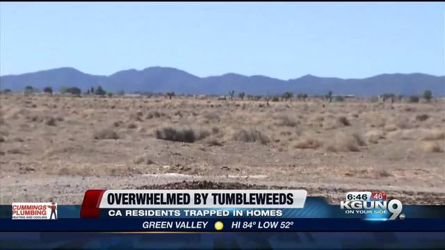 California neighborhood inundated by tumbleweeds California neighborhood inundated by tumbleweeds