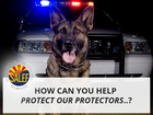 The Southern Arizona Law Enforcement Foundation