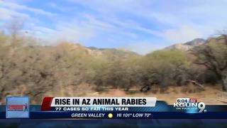AZ Health officials warn about a rise in rabies