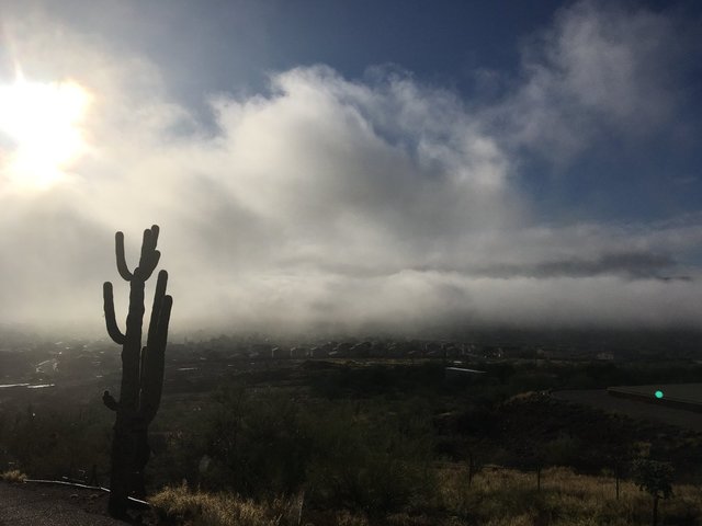 Tucson wakes up to some fog